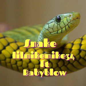 lilmikemike34&Babyblow-Snake