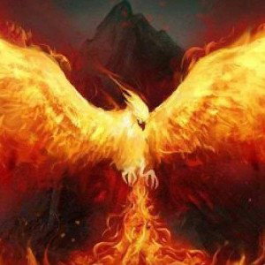 Fenix 