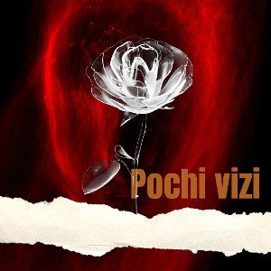 pochi vizi