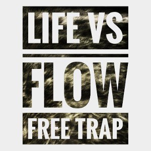 LIFE VS FLOW 