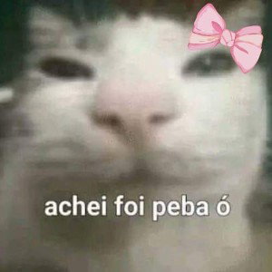 fggj