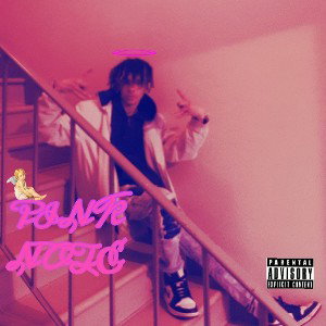 VOLUME 2 (PINK NOTE)