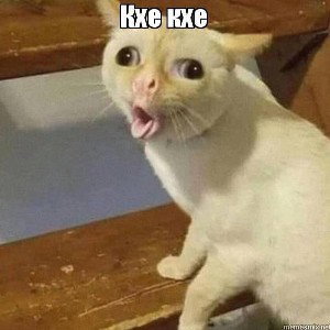 #FatBit- SalamKz