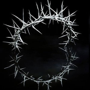 BlackThorns