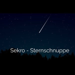 Sekro - Sternschnuppe