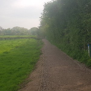 country lanes