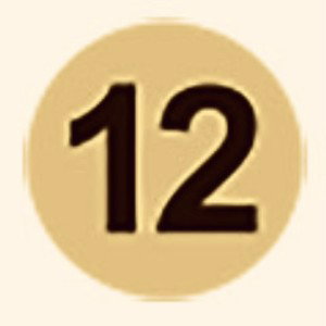 Vantavoel12 rmx 