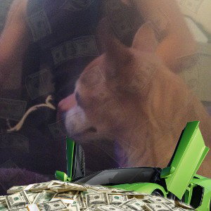 lil d freesty 