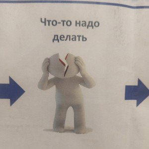 Мухомор облепиховой стены