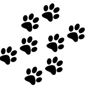 Max XxX-Paw Print