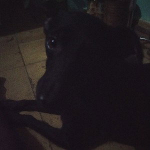 yo sin luz 