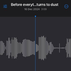 Before everything turns to dust (Voice Memo)