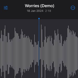 Worries (voice memo)