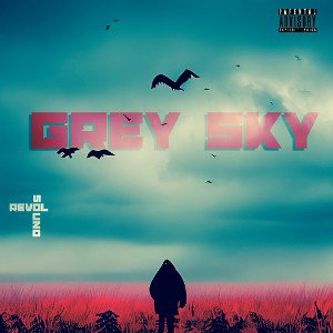 Grey Sky