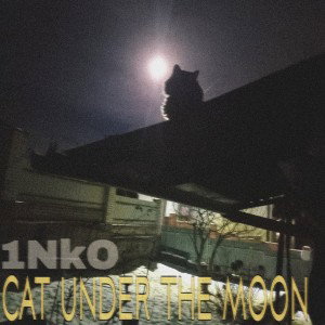 1NkO-Cat under the moon