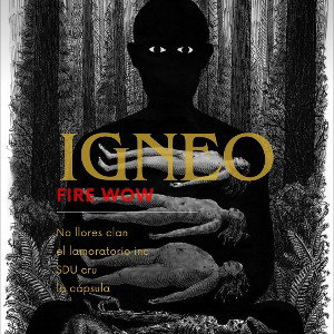 ígneo 