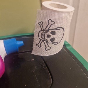 ангустины