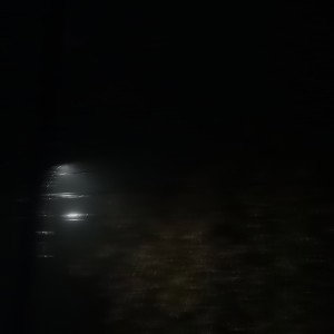 посмертный фит