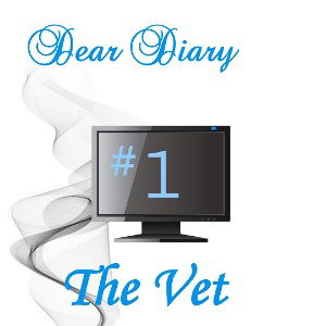Dear Diary #1