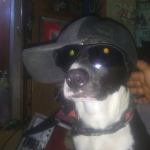 🐕Thats My Dog 🐕