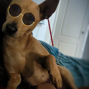 Ruustrips Ft Padrino 43 - EMPATIA _FALTA PADRINO