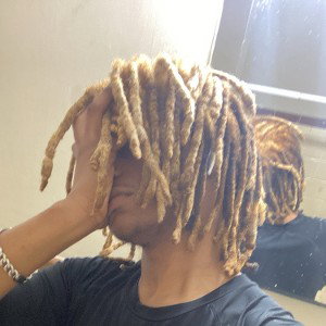 snippet 