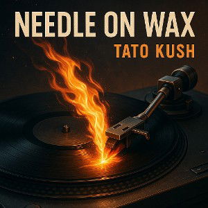 Needle On Wax