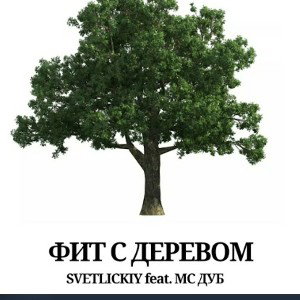 Фит с деревом