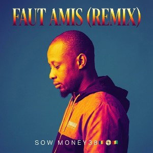 FAUT AMIS (REMIX)