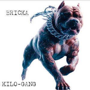💥BRICKA💥