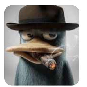 perry