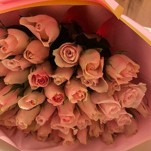 14 de febrero 