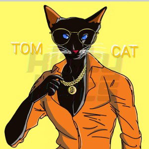 Tom Cat 🐱