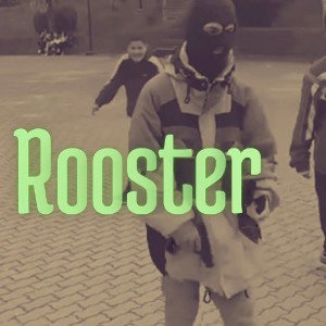Rooster