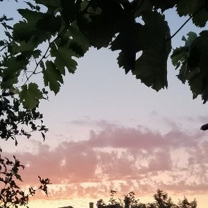 Bazgrek 1211 - ☀️пусть душа ☀️ _