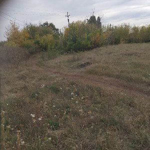 _радость__