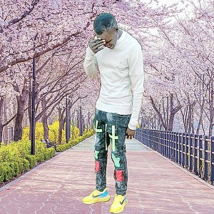 Freestyle_-_nelly Lee the King 256k