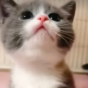 u_wanna_fight_me