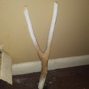 what is it??????