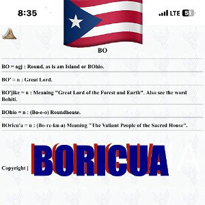 DEFINITION OF BORICUA