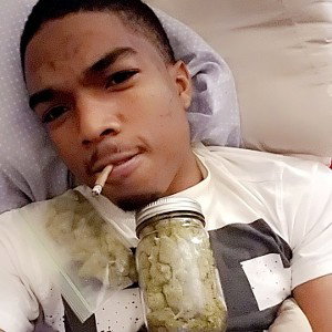 vibeSnippet