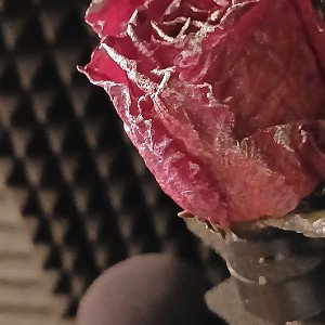 Broken & Bent - IAMUSICISME