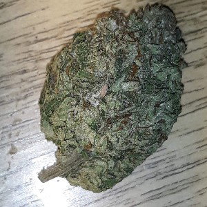 *@Gett Litty O$.*
