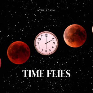 Time Flies - VynallDash