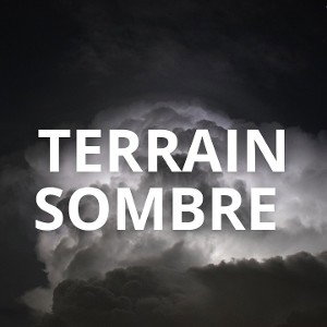 Terrain Sombre