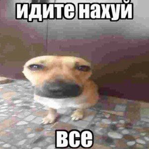 X5CVB - idite nahui (хуйня+phonk) 