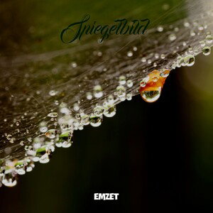 Spiegelbild - EMZET