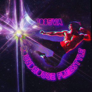 Va_Carleon3 - roundhouse freestyle 