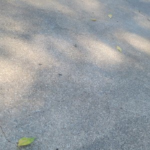Concrete soul