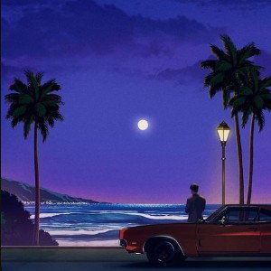 Midnight Tropics